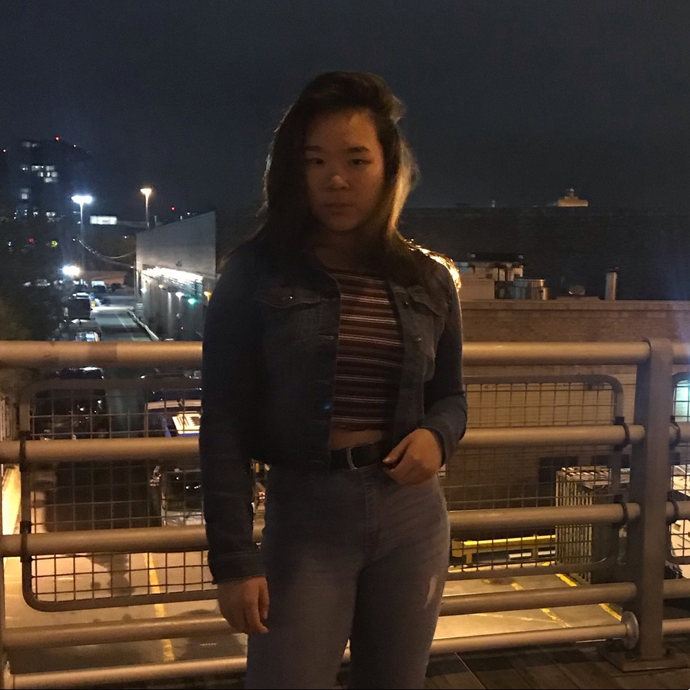 Small Cropped Denim Jacket